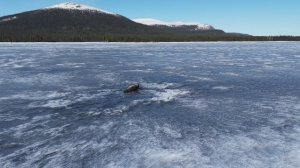 Коржики-моржики