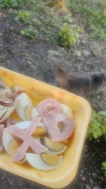 Светлой Пасхи!