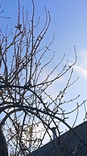 распаковка нямки  из фикс прайса+ заполняю НОВОЕ крысиное логово!!!