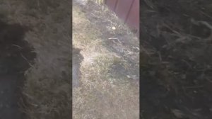 следим за S_TIME 3 часть