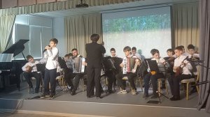 Берёзовые сны