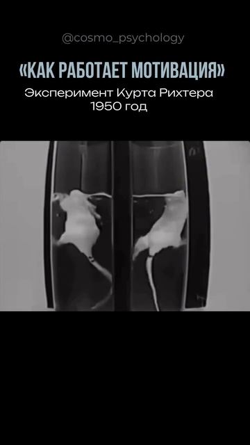 Как работает мотивация?