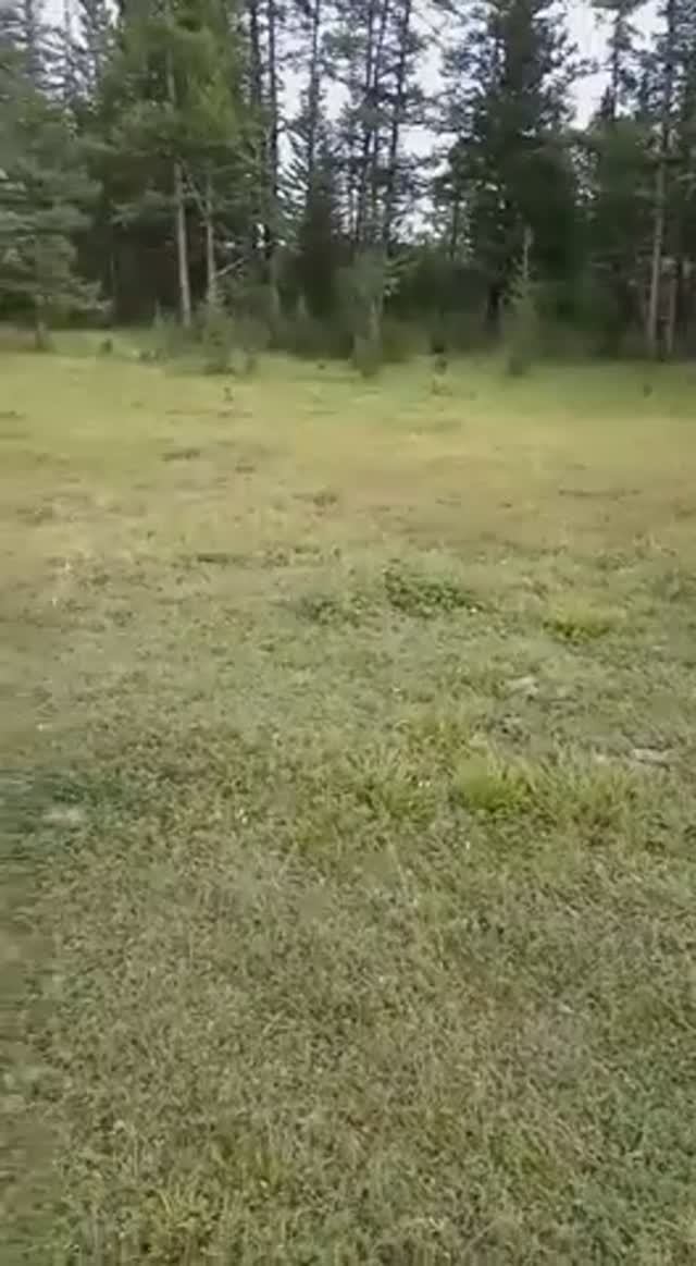 До Телецкого 100км