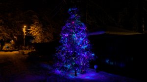 Просто новогодняя ёлка на улице с красивыми гирляндами