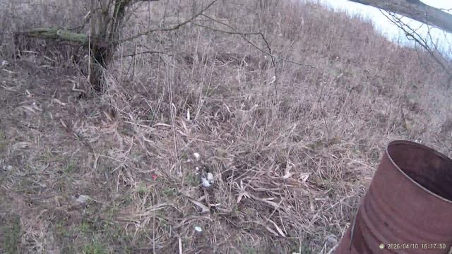 Маруськино озеро. 10 апрлеля. 2026г. Утро.