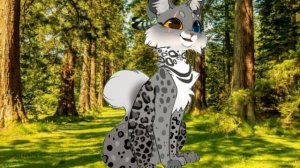 Сходка в вайлде!