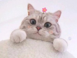 Эфир с конфетками