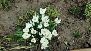 Обходим с Прадой владения свои после зимы