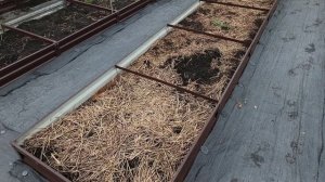 Размеры и материал постоянных грядок