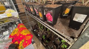 Электрик привез материалы/ рассказываю о землетрясении в Сочи