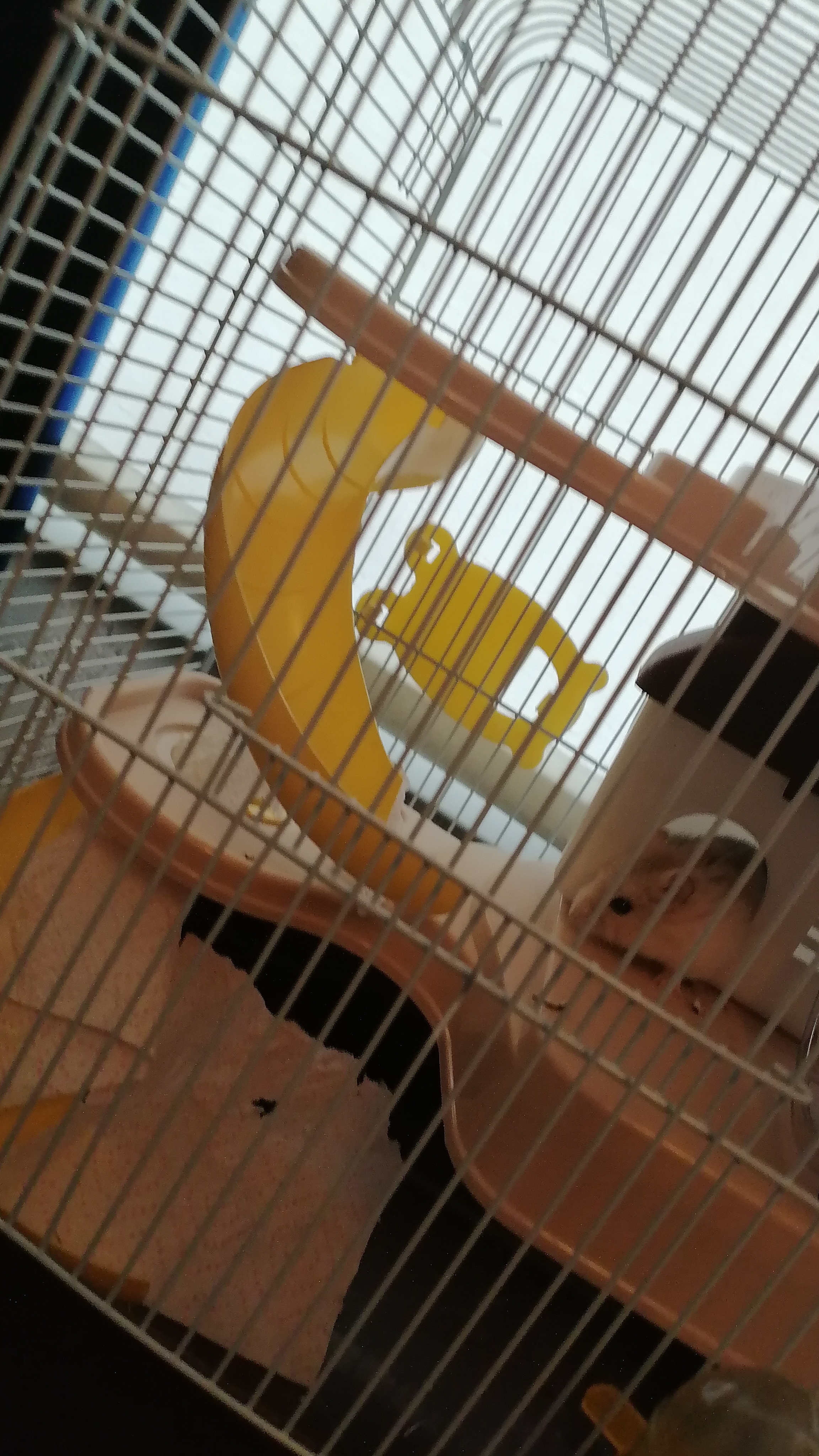 тааааашшшееееееммм!!!!!