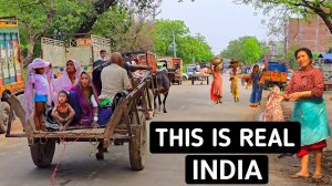 Индия. Такое вы не увидете по телевизору. Настоящая Индия