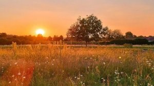 с пасхой 🙌🏻💋