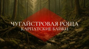Мистическая история. Карпатские истории. СЛУЧАЙ В ГОРАХ.Синевир.