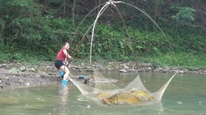 Невероятная техника ловли. Девушка ловит сетью много рыбы. Откачиваю воду из пруда и достаю рыбу