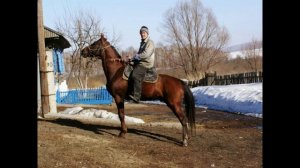 Сельские мотивы