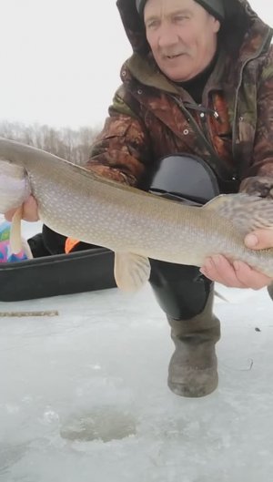 Рыбалка в Сибири. Часть 103.