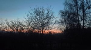 весенний рассвет,пение птиц