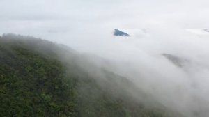 Перед воплощением каждый заключил контракт Игры.