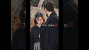 Цыганская Песня для душы ❤️🩹🫂 _подпишысь_🫶🏻