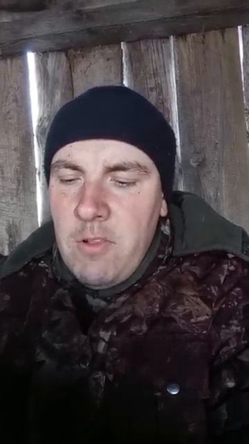 В СТАРОМ ЛЕСУ. АВТОРСКИЙ СТИХ.mp4