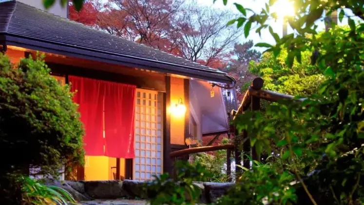 8. Горячие источники (Онсены) в традиционных отелях (Рëканах) префектуры Каганава (Хаконэ, Япония)