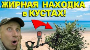 Жирная НАХОДКА в Кустах на ПЛЯЖЕ Порадовала нас не по ДЕТСКИ, Вот Это Коп!