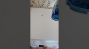 обзор и уборка