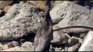 Приключение в Ейске!