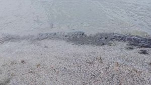 Славянка..Светлая Пасха.. Море..