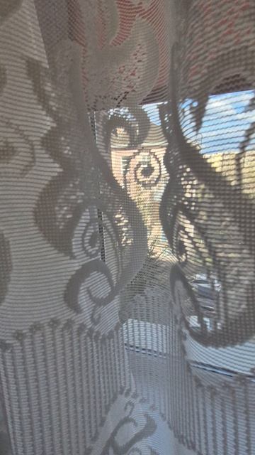 Студия (комната) Большая Московская д86 5 этаж.mp4