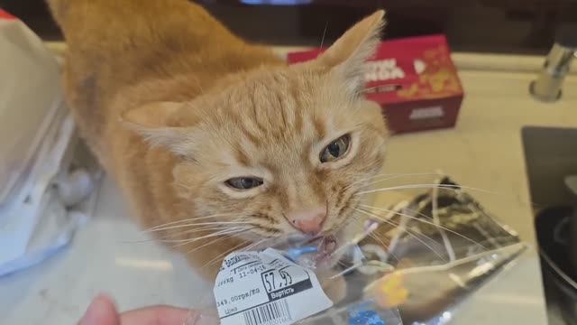 КОЛЯ СЫТНИК Купили Продукты ! Курица  В Духовке Из Ананасом ! Буду Красить Яйца на Пасху