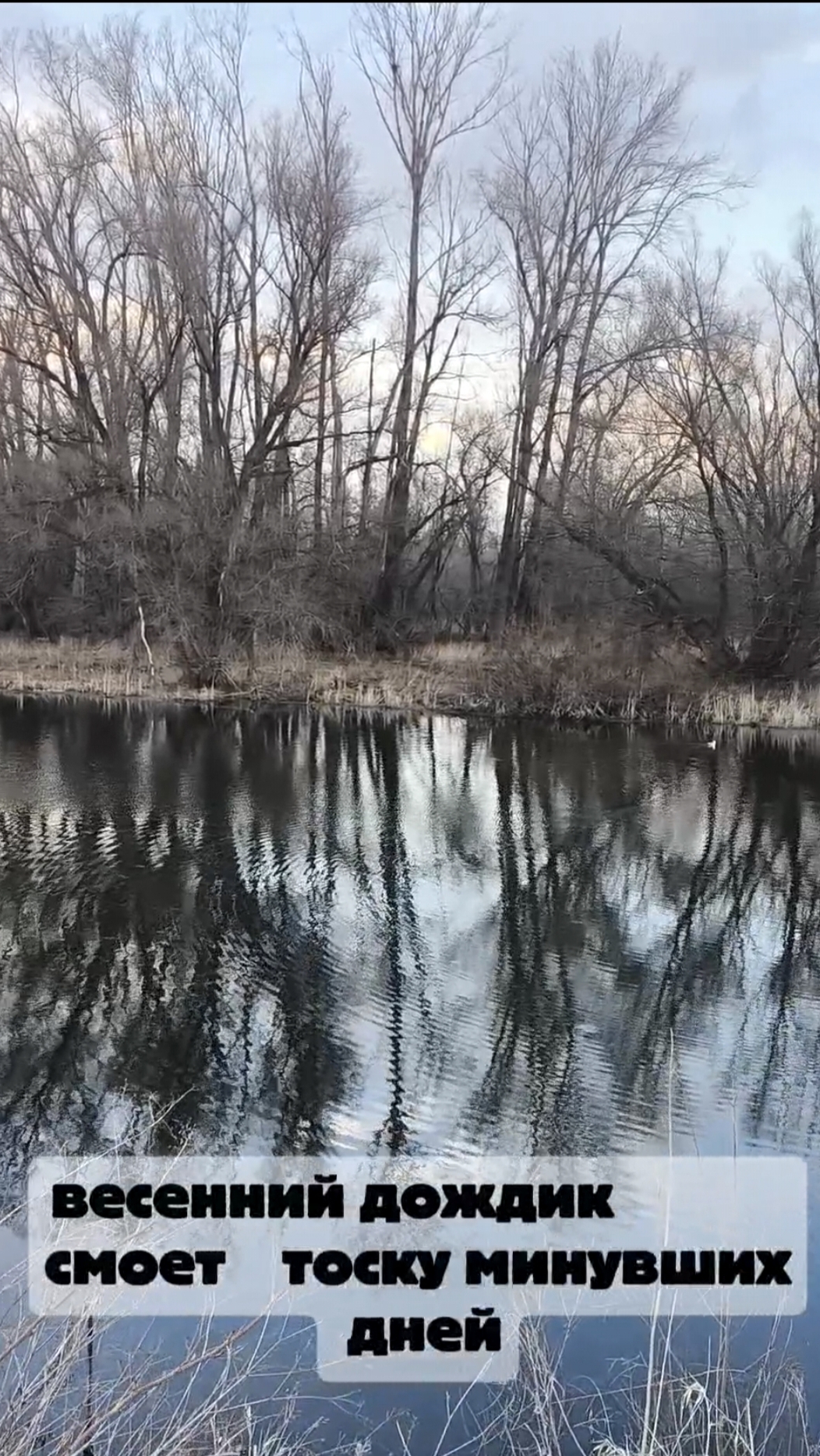 Весенний дождик смоет