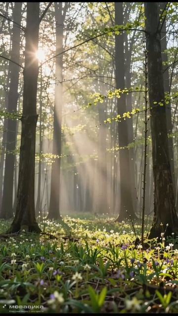 Кистями природы)