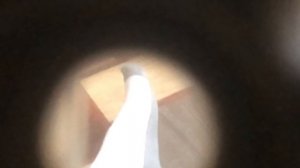 Способы ноги