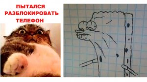 Лютые мемы. Кот разблокировал телефон