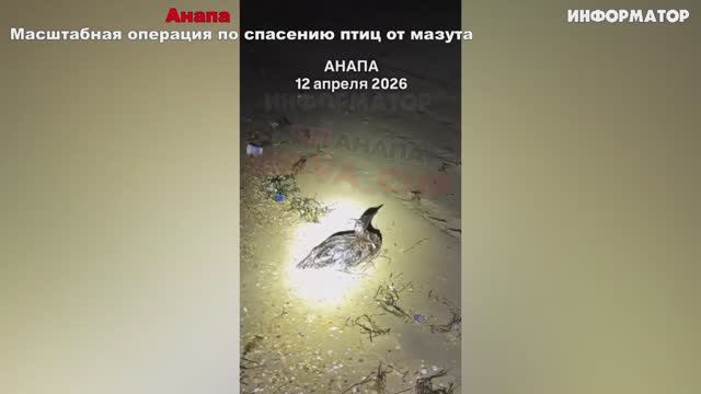 Новости Сегодня 12.04.2026 - ЧП, Катаклизмы, Россия, Москва, События Дня, Таиланд Индия США Европа