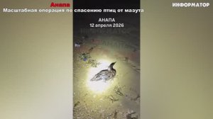 Новости Сегодня 12.04.2026 - ЧП, Катаклизмы, Россия, Москва, События Дня, Таиланд Индия США Европа