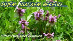 ИДЁМ, ШАГАЕМ ВЕСЕЛО Позитивные стихи для детей