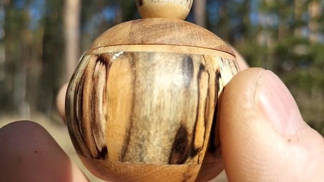 Шкатулка в апрельском лесу на сосне