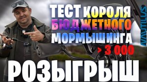 ЛУЧШИЙ "карасятник" за дёшево. Обзор мормо спиннинга Nautilus TOTAL MORM и  BlackRock 2000s РОЗЫГРЫШ