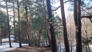 Недопонимание друг друга людей из разных слоев общества. Если нет хлеба, пусть едят пироженые