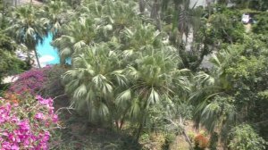 Остров Хайнань. Бухта Дадунхай. Март 2026. Часть 1