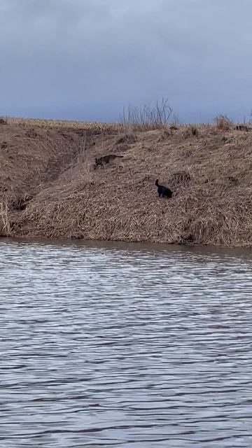 Два друга .( Река Турдей)