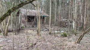ПИК МЕДВЕДЕЙ ВО ВСЕХ ЛЕСАХ !!! Я ИДУ В ЗАБРОШЕННУЮ ХИЖИНУ У РЕКИ , ЧТО С НЕЙ ПРОИЗШЛО ПОСЛЕ ЗИМЫ ?!