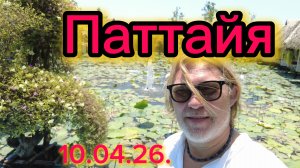 Паттайя 11-04-2026. Храм и кафе с лотосами!