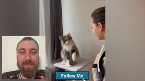 «Животные, которые вас рассмешат — моя реакция». Часть 2