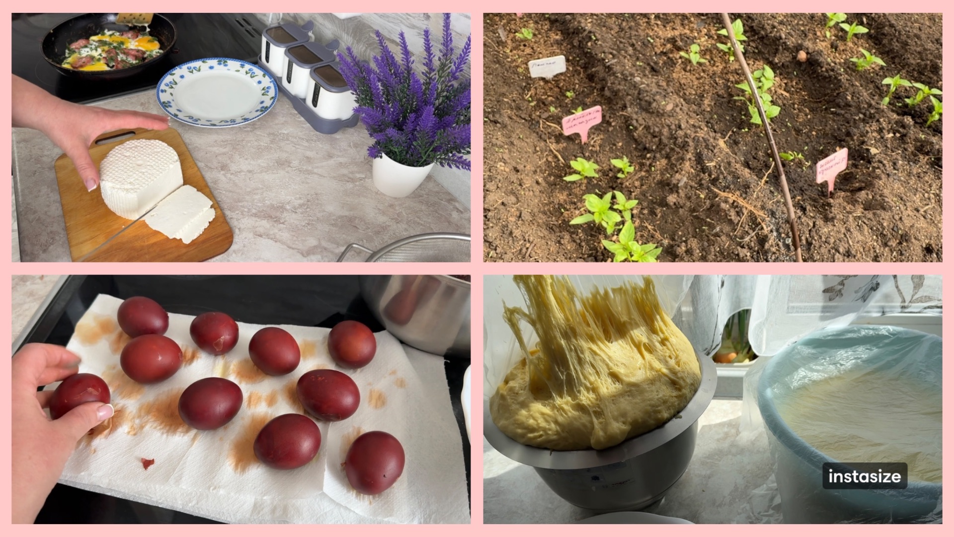 На завтрак сыр. Три РЕЦЕПТА ВЫПЕЧКИ. Рассада выжила.