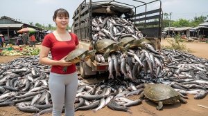 Ловим сома и черепах в пруду. На лошади везем на рынок продавать. Продаю цесарок. Фуонг. Вьетнам