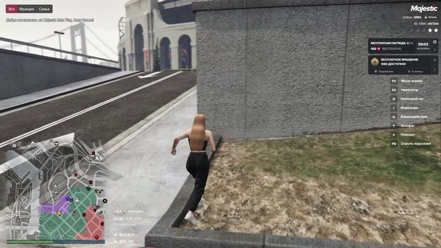 ДБ, ДМ арена